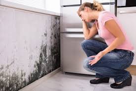 Forensic Mold Investigation in Matteson, IL