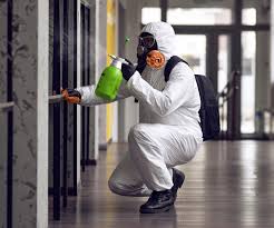 Matteson, IL Mold Prevention & Removal  Company